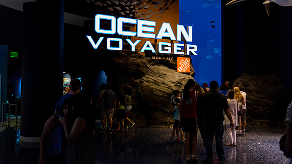 Georgia Aquarium